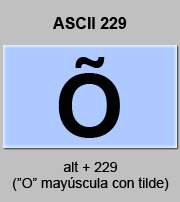 codigo ascii 229 - Letra O mayúscula con tilde 